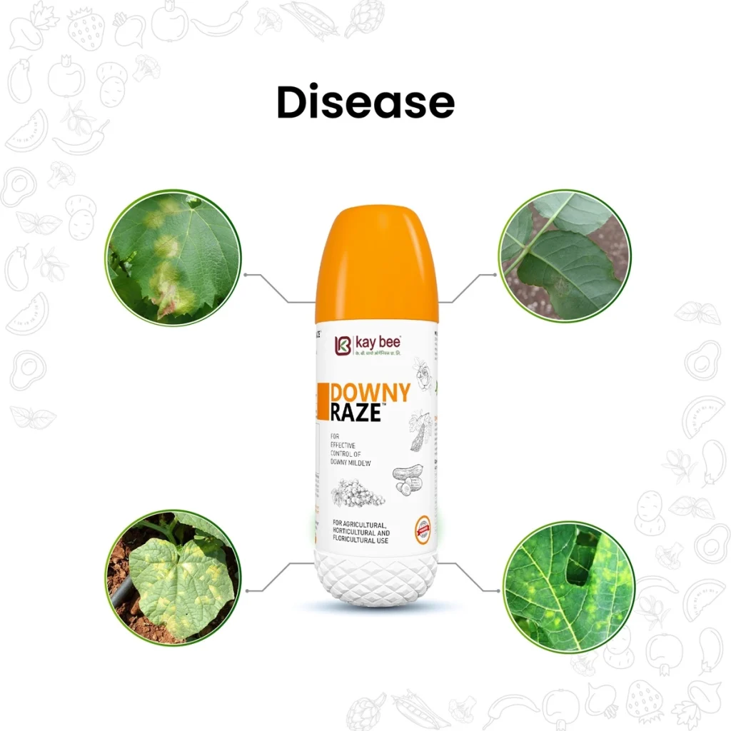 Kay Raze Downy Mildew Control and Treatment with Kay Bee Bio Organics': Downy Raze