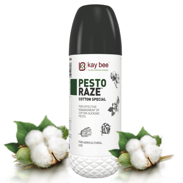 Best Insecticide for Cotton Crop | Pesto Raze Cotton Special