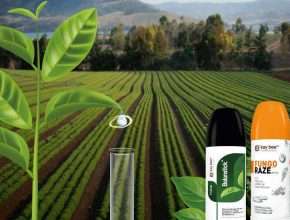 why the use of bio pesticides is the best step forward in agriculture in 2022 New