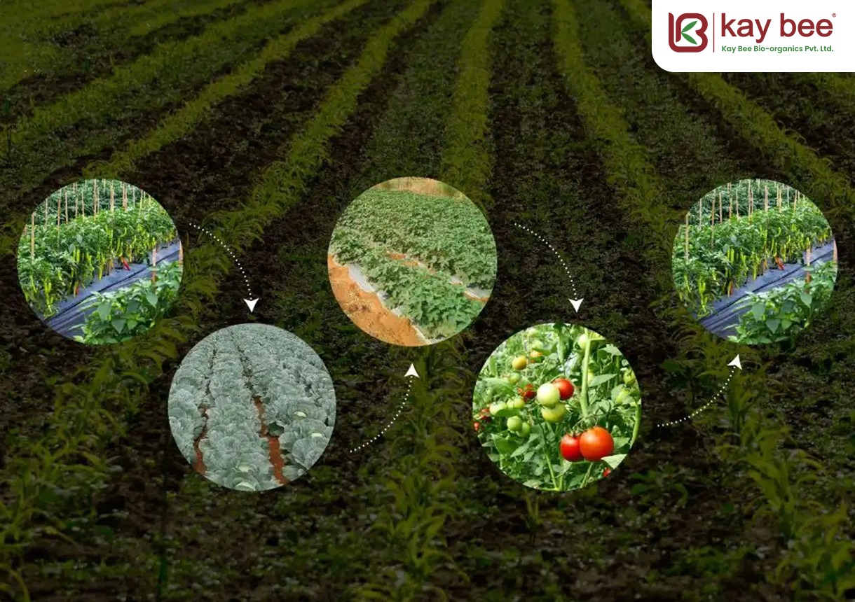 Crop Rotation