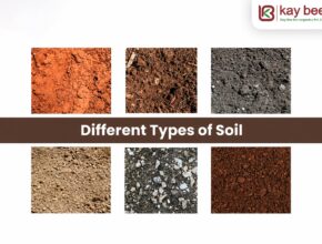 Different Types of Soil