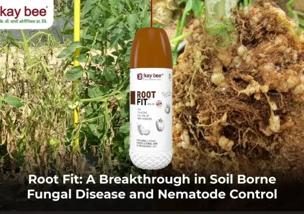 Root Fit A Breakthrough in Soil Borne Fungal Disease and Nematode Control New