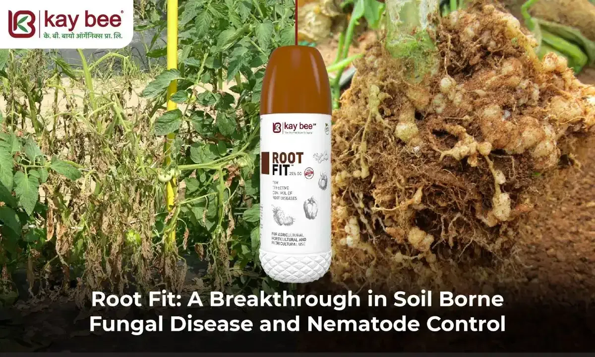 Root Fit A Breakthrough in Soil Borne Fungal Disease and Nematode Control New