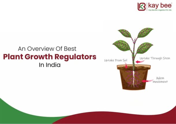 Fungicides On Plant Roots and Soil