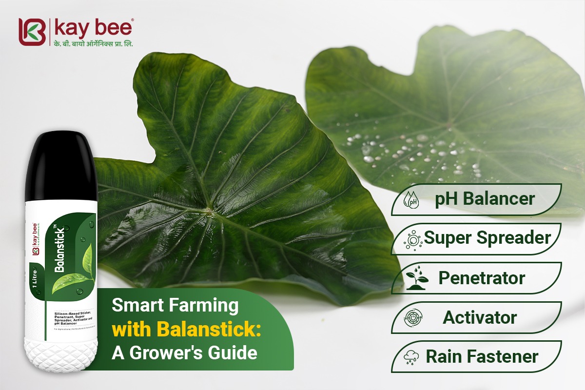 Smart Farming with Balanstick A Grower's Guide