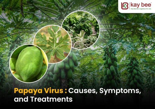 Papaya Virus