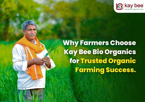 Why Farmers Choose Kay Bee Bio Organics for Trusted Organic Farming Success
