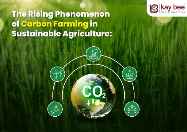 The Rising Phenomenon of Carbon Farming in Sustainable Agriculture