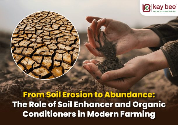 The Role of Soil Enhancer and Organic Conditioners in Modern Farming