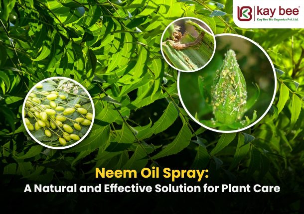 Neem Oil Spray A Natural and Effective Solution for Plant Care