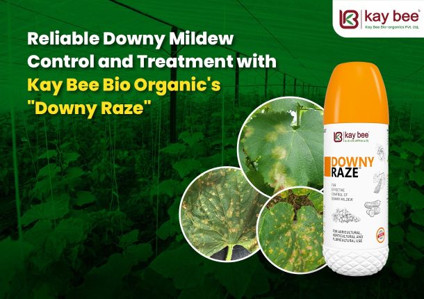 Reliable Downy Mildew Control and Treatment with Kay Bee Bio Organics: Downy Raze