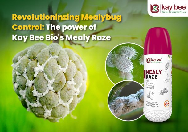 Revolutioninzing Mealybug Control The power of Kay Bee Bio's Mealy Raze