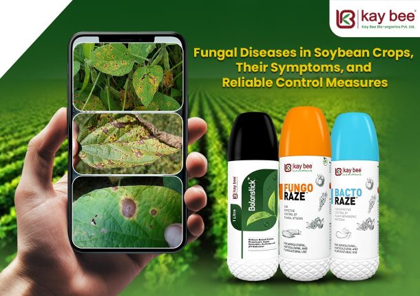 Fungal Diseases in Soybean Crops Their Symptoms and Reliable Control Measures New