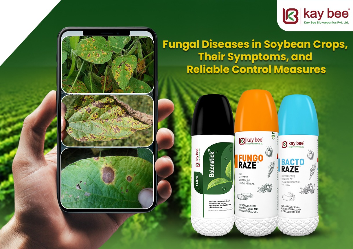 Fungal Diseases in Soybean Crops Their Symptoms and Reliable Control Measures New