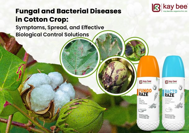 Fungal and Bacterial Diseases in Cotton Crop Symptoms Spread and Effective Biological Control Solutions New