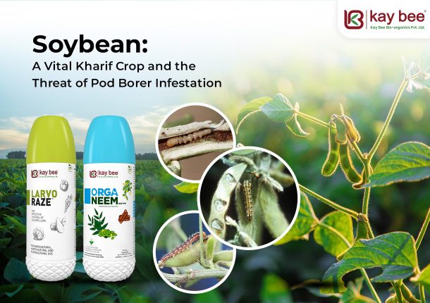 Soybean A Vital Kharif Crop and the Threat of Pod Borer Infestation New