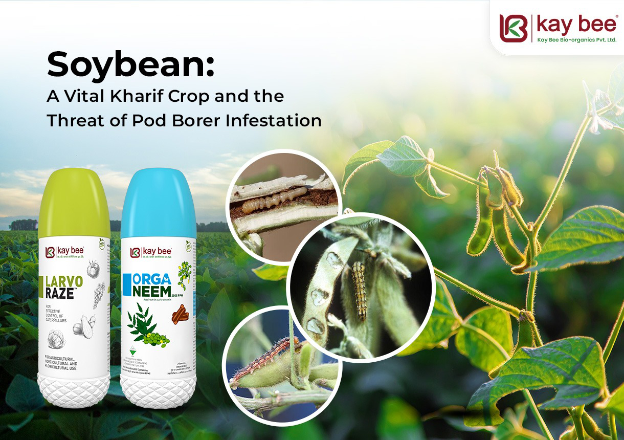 Soybean A Vital Kharif Crop and the Threat of Pod Borer Infestation New