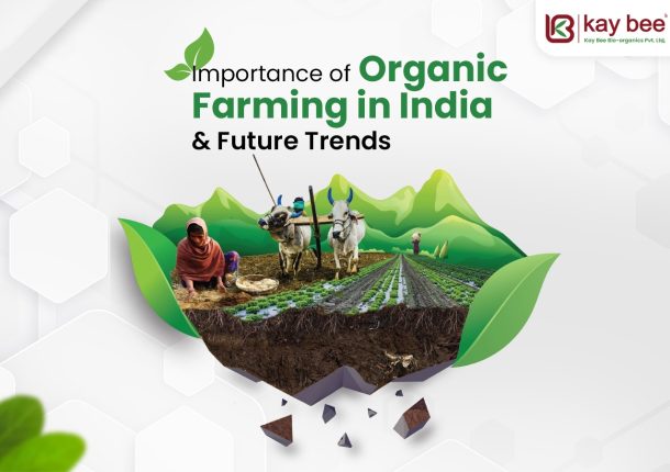 Organic Farming in India & Future Trends