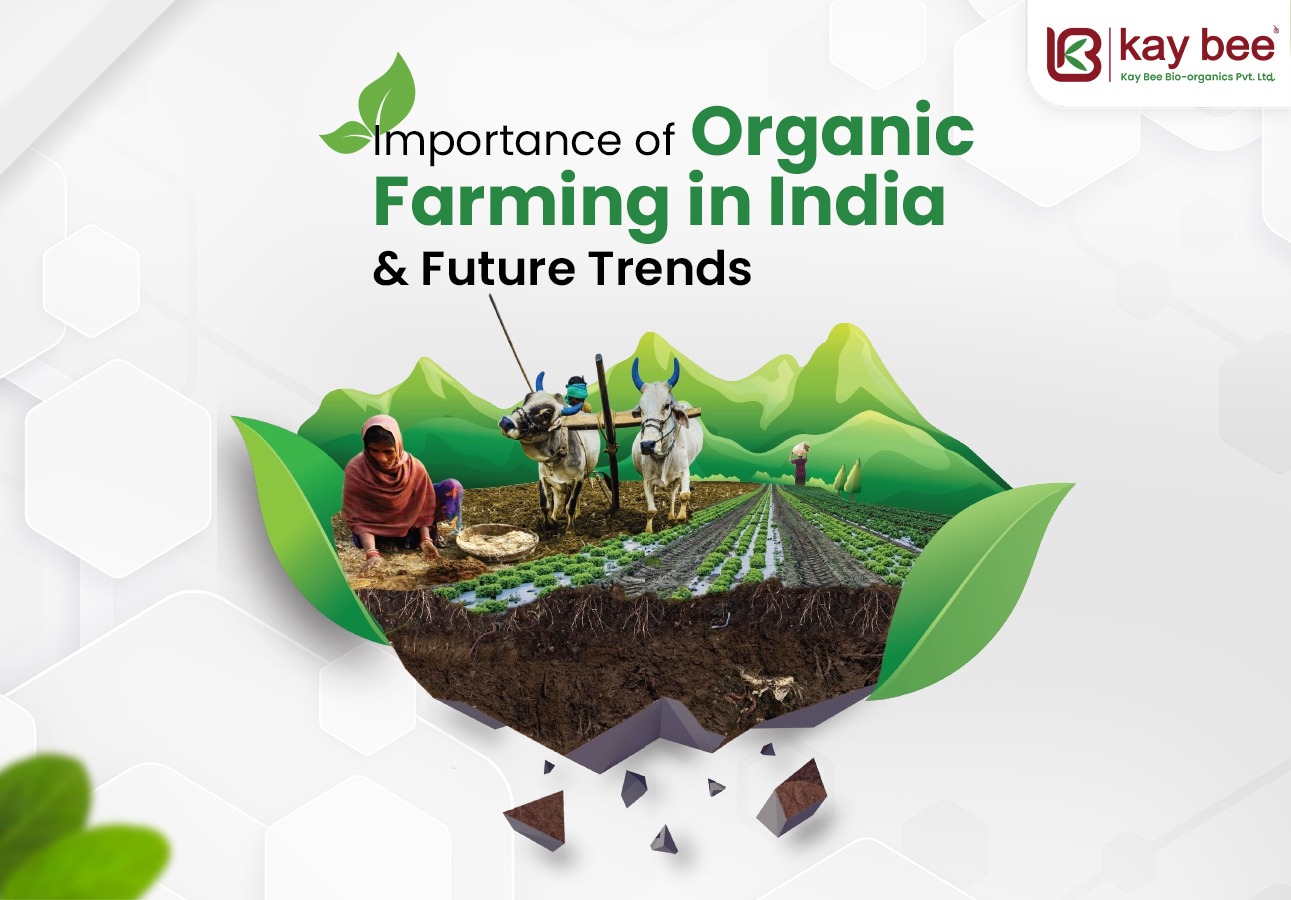 Organic Farming in India & Future Trends