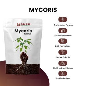 MYCORIS - Bio fertilizer