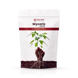 Best Premium mycorrhiza biofertilizer for crops