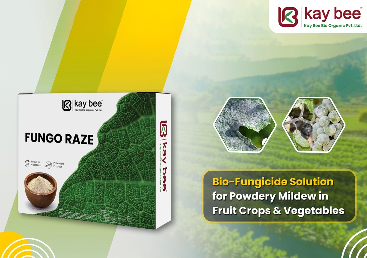 Powdery Mildew in Fruit Crops & Vegetables