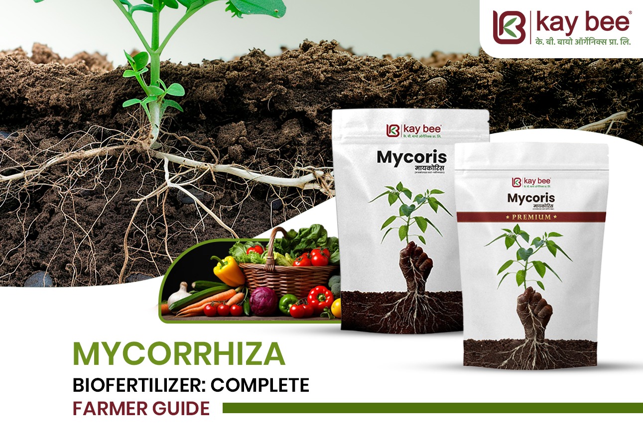 Mycorrhiza Biofertilizer Complete Farmer Guide