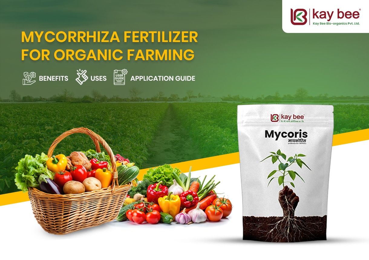 Mycorrhiza Fertilizer for Organic Farming
