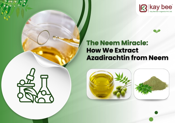 Azadirachtin Insecticide