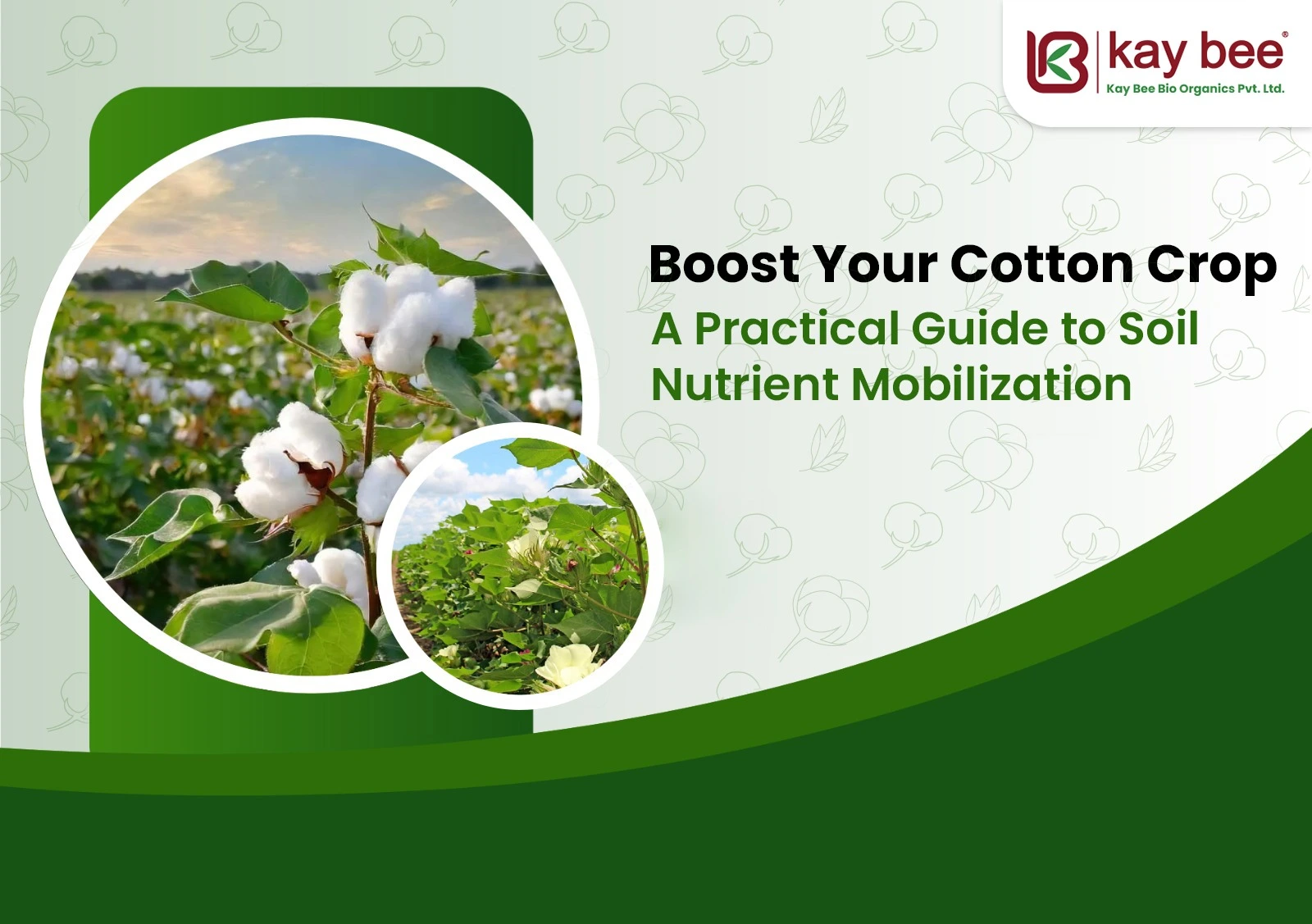 Boost Your Cotton Yield