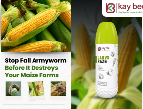 Fall Armyworm