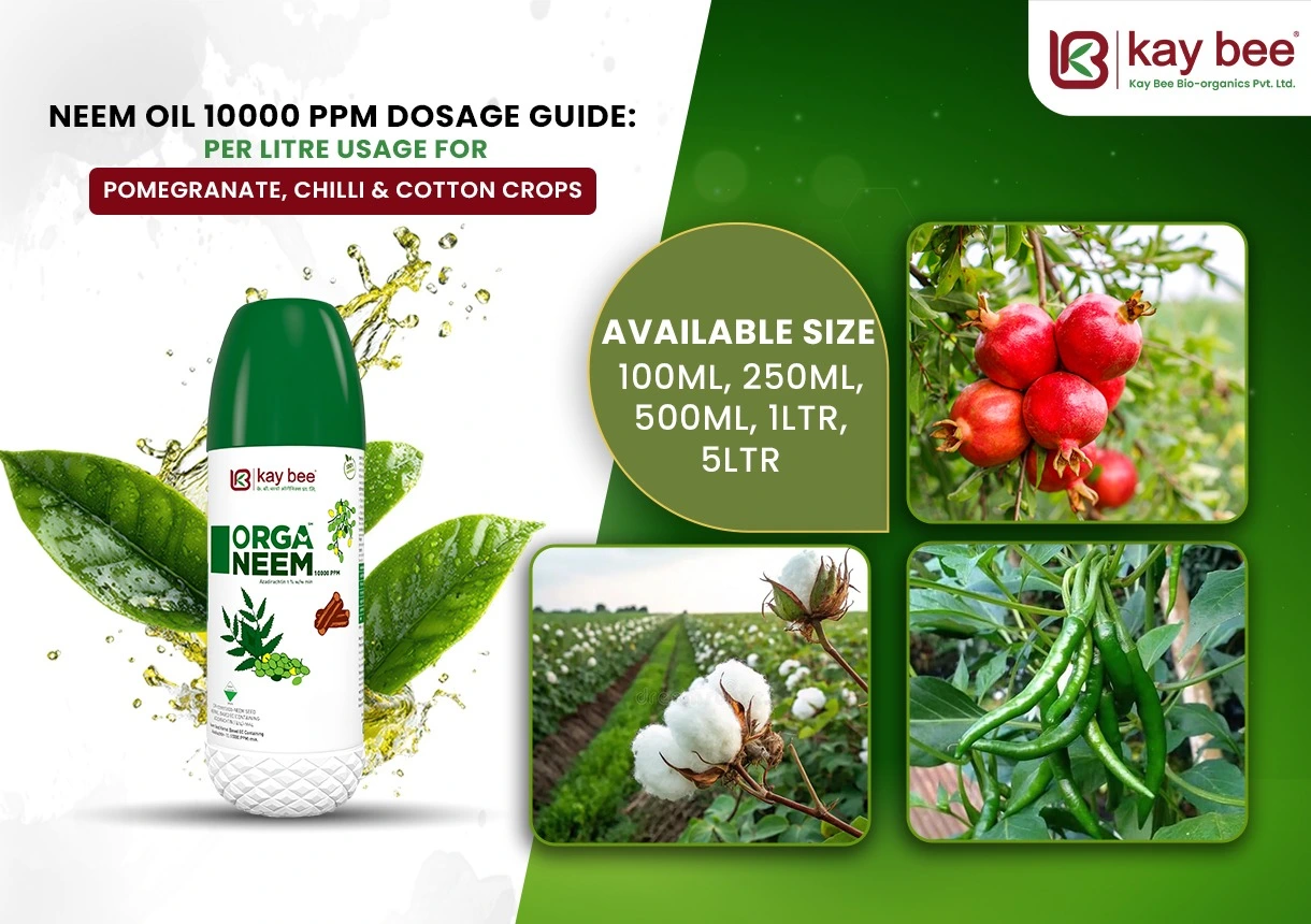 Neem Oil 10000 PPM