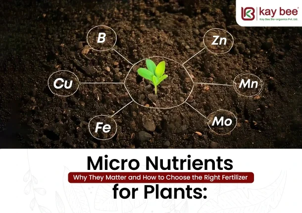 Micronutrients for Plants