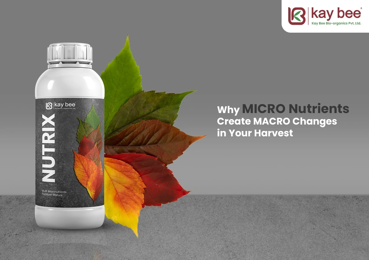 micronutrient fertilizer