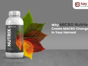micronutrient fertilizer