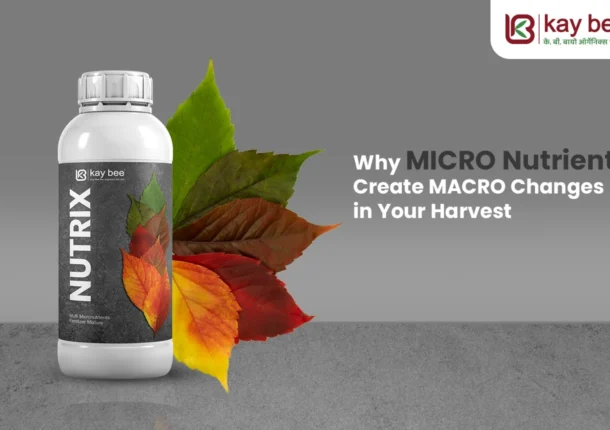 micronutrient fertilizer