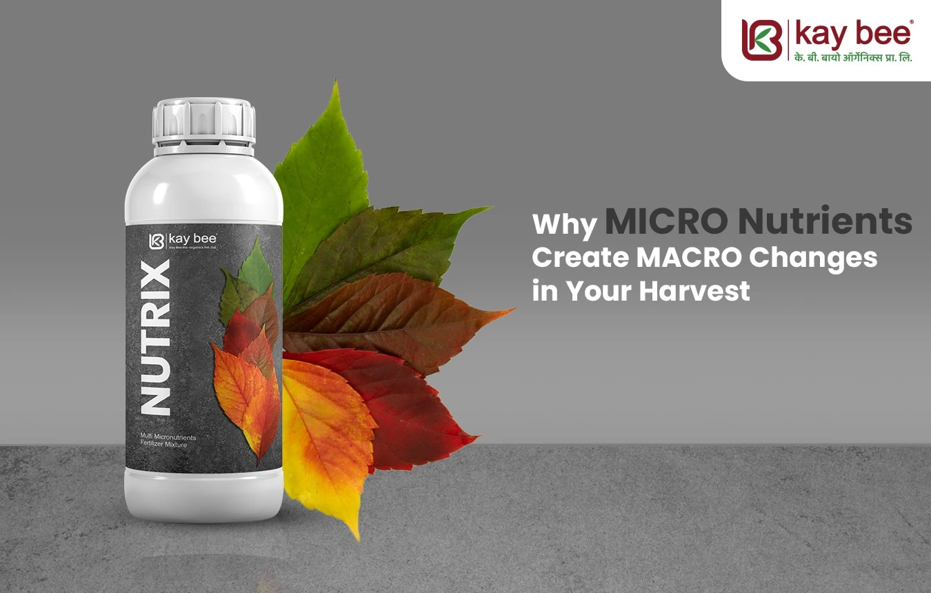 micronutrient fertilizer