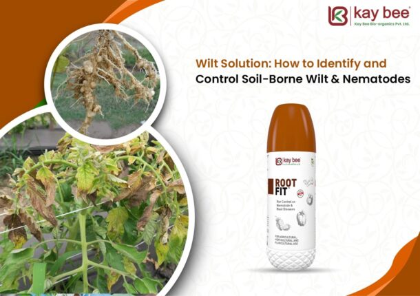 nematicide for nematode control
