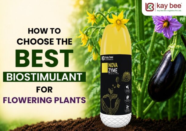 Best Biostimulant for Flowering Plants