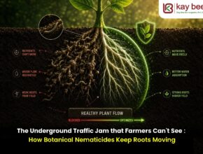 Botanical Nematode Control