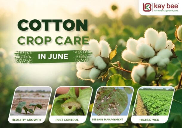Cotton Crop Care