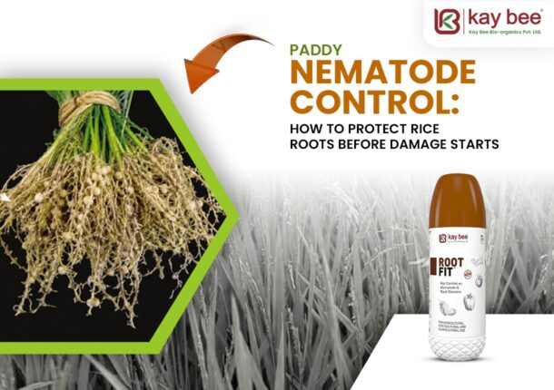 Paddy Nematode Control