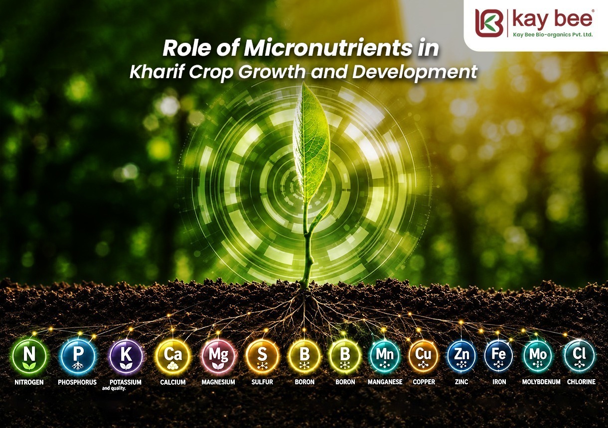 Role of Micronutrients in Kharif Crop