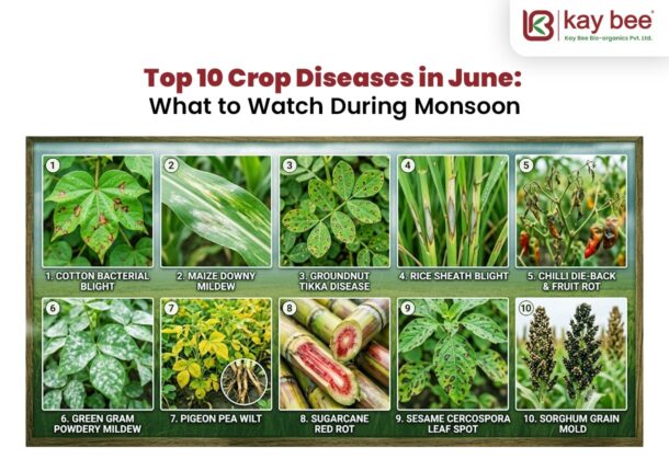 Top 10 Crop Diseases in June