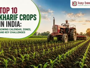 Top 10 Kharif Crops in India