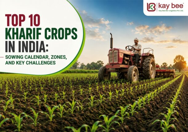 Top 10 Kharif Crops in India