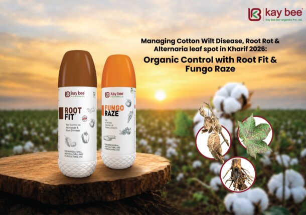 Cotton Wilt Disease Control Root Fit & Fungo Raze