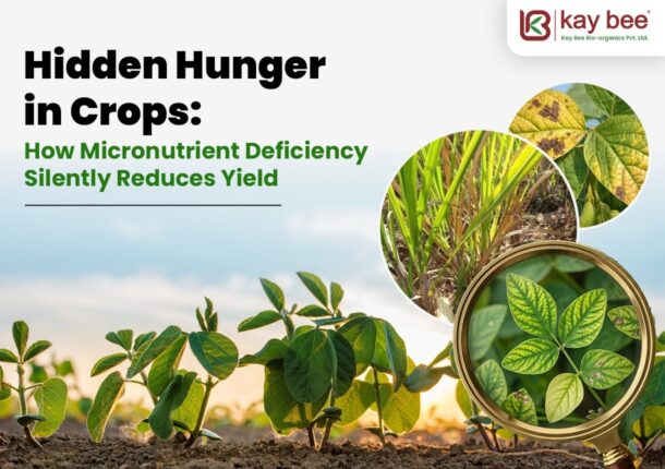 Hidden Hunger in Crops
