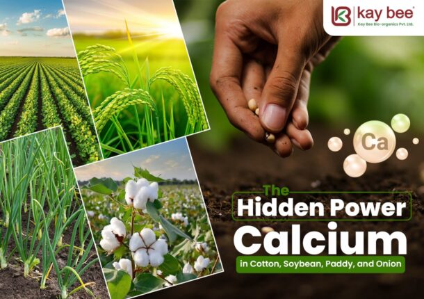 Hidden Power of Calcium in Cotton