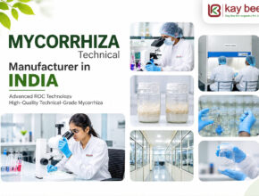 oem private label mycorrhiza packaging india 1